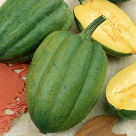 Table Queen Acorn, Organic Squash Seeds